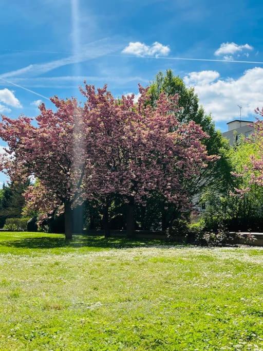 Studio Situe A 5 Min Du Chateau De Versailles Et Stationnement Gratuit Kültér fotó